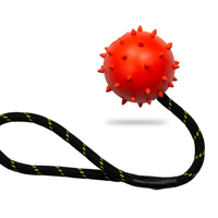 Nettoyage des dents de chien, cordes en coton, jouets pour animaux domestiques, à mâcher, boule de corde en caoutchouc