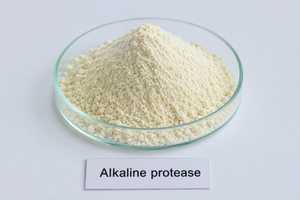 Promotion : Poudre d'enzyme alcaline protéase, biocatalyseur haute efficacité pour la décomposition des protéines, la fermentation et l'utilisation industrielle - Product Image 3