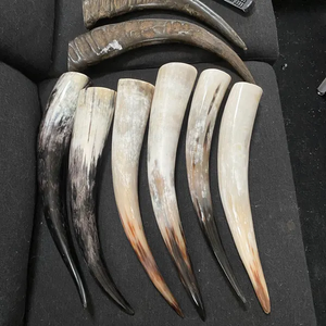 Cuerno de Búfalo Blanco Natural Pulido a Mano, el Mejor Cuerno en Polvo Hecho a Mano, Personalizado - Product Image 5