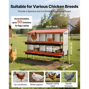 Nidi per Galline in Plastica ad Alta Resistenza con 10 Scomparti, Facile Raccolta delle Uova, Gambe di Supporto in Acciaio Zincato, Gabbie per Animali - Product Image 2