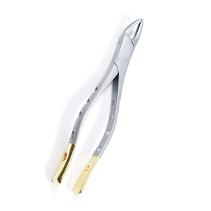 Forceps dentaires en acier inoxydable de haute qualité pour usage dentaire professionnel, outil manuel offrant une prise stable et une manipulation efficace - Product Image 1
