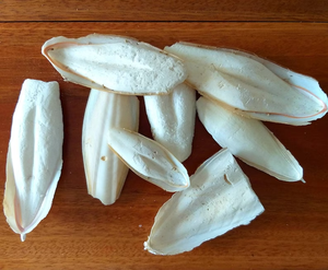 Os de Seiche Séché Naturel, Accessoire à Mâcher pour Oiseaux, pour Perroquets, Pinsons, Canaris et Petits Oiseaux de Compagnie, 10-20cm, Emballage en Boîte - Product Image 2