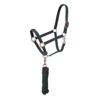 Ensemble de licols et rênes rembourrés en nylon pour chevaux, réglables, pour l'entraînement équestre, avec ferrures or rose, vente en gros, fournisseur