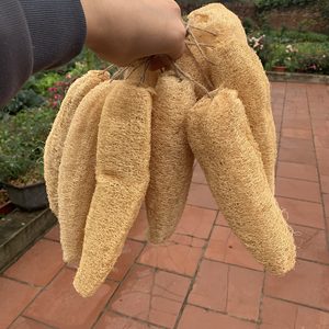 Éponge de loofah entière séchée en gros, provenant d'une usine du Vietnam - Product Image 1