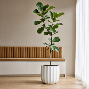 Juego de 4 macetas cilíndricas de fibra de vidrio clásicas blancas, resistentes a las heladas, lisas, para jardín interior y exterior, decorativas y atemporales. - Product Image 3