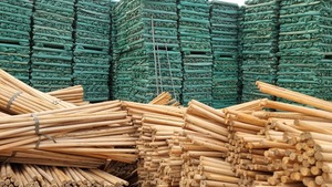 Manche de balai en bois GMEX 123 cm, pelle à poussière en PVC écologique, poils durs en plastique pour le nettoyage du jardin et des sols - Product Image 6