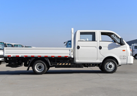 Nouvelles mini-citernes 4x2, camions légers de transport de marchandises à double cabine avec bords rabattables