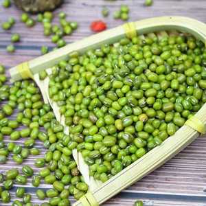 Venta de Frijoles Mung Secos de la Mejor Calidad para Exportación 2026, Saludables, Puros, Naturales, Frescos, al por Mayor, Suministro Directo de Fábrica, Ricos en Proteínas - Product Image 6