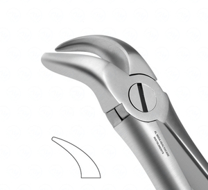 Forceps d'extraction dentaire manuels en acier de classe I, certifiés CE, pour dents supérieures latérales et canines, modèle anglais, instruments chirurgicaux - Product Image 6