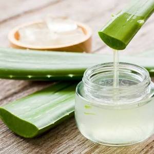 Extracto Puro de Aloe Vera |   Extracto de Plantas Herbales Naturales en Polvo |   Suministro a Granel de Grado Cosmético, Alimentario y Nutracéutico - Product Image 6
