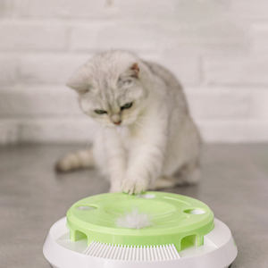 Jeu de puzzle interactif écologique moderne pour chat, avec plumes rotatives, électronique et automatique - Product Image 4