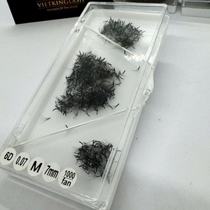6D 0.07 Curl Reliable Supplier Premium <b>Premade</b> <b>Fan</b> Eyelash Extensions 3D-8D Handmade Black Matte Synthetic Hair Custom Logo - Product Image 1