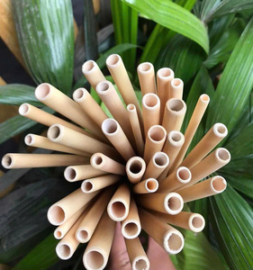 IIGLOBAL BRAND Eco-friendly Biodegradable Bamboo <b>Drinking</b> <b>Straws</b> Reusable Natural Wood <b>for</b> Juice Cocktails 100% Compostable - Product Image 2