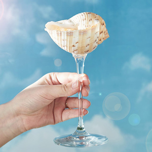Vaso de cristal con diseño de conchas marinas para bebidas y agua, decoración oceánica. - Product Image 1
