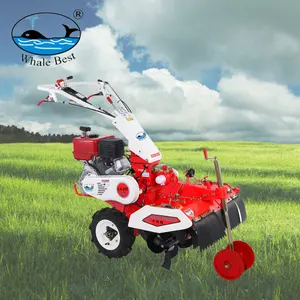 Cultivador de césped rotativo inalámbrico Mxw Blades