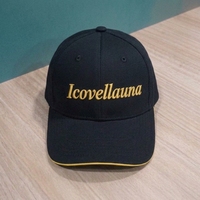 Casquette de baseball sportive personnalisée à 6 panneaux, visière pré-courbée, broderie 3D en relief, OEM ODM, marque privée, fabricant en gros, faible MOQ