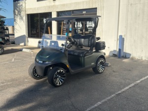Carrito de Golf Eléctrico EZGO Freedom RXV Directo de Fábrica, Vehículo Utilitario Eléctrico, Buggy de Golf para 2 Pasajeros con Batería de Largo Alcance en Venta - Product Image 6