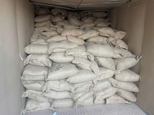 HANCOFFEEE Café Robusta y Arábica Verde/Crudo de Vietnam para Comercio - Bolsa de Yute/PP de 60 kg - Muestra Gratis y MOQ Bajo - Product Image 6