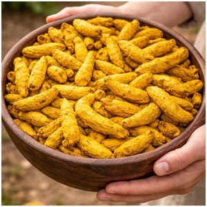 Cúrcuma de Salem con Alto Contenido de Curcumina, Seca al Sol, Pulida Naturalmente, Raíz de Cúrcuma Entera, Especia India Premium, Proveedor de Exportación - Product Image 1