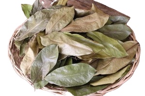 Feuilles de corossol vietnamien séchées au soleil, produit botanique naturel, qualité supérieure, soigneusement sélectionnées, propres, aromatiques, qualité export - Product Image 4