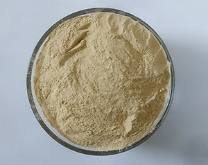 BEST SELLER Poudre d'amidon de racine de lotus biologique, végétalienne, pour stimuler l'immunité, ingrédient à étiquette propre, emballée en sachet - Product Image 4