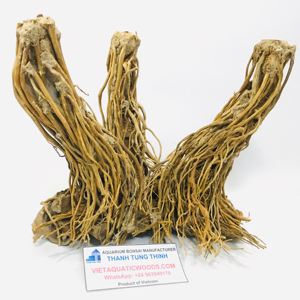 Décoration d'aquarium en bois flotté artisanal de qualité supérieure, forme irrégulière, durable, fabriqué au Vietnam - Product Image 6
