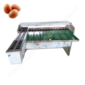Automatic Egg Grader Machine <b>Small</b> Egg Sorting Machine Egg Grader Machine by <b>Weight</b> - Product Image 6