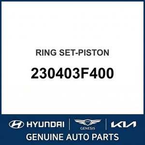 Nouveaux pistons et segments K9 230403F400 - Product Image 1