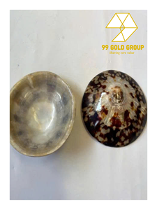 Conchas de Limpet Naturales Pulimentadas, Ecológicas, Suministro al por Mayor para Decoración de Acuarios, Temática de Playa, Proyectos de Manualidades - Product Image 5