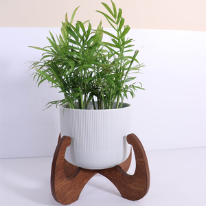 Support de plantes d'intérieur en bois massif, porte-plantes fait main, support de pot de fleurs en bois, présentoir de plantes d'intérieur pour la décoration de la maison - Product Image 3