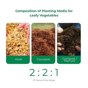 ขี้เลื่อยข้าวคุณภาพสูง ยี่ห้ออินฟาร์ม ขนาด 1 ลิตร 100% ออร์แกนิคธรรมชาติ วัสดุเพาะปลูกปรับสภาพดิน น้ำหนักเบา แบบเม็ด สำหรับคลุมดินในสวน - Product Image 3