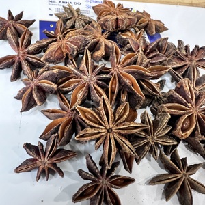Anís estrellado vietnamita premium, entero, seco, sin tallo, de alto aroma, especia natural, a granel, venta al por mayor, grado alimenticio, exportación directa/ ANNA DO - Product Image 1