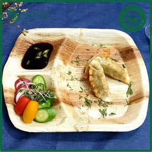 Sustainable Square Palm Leaf <b>Disposable</b> <b>Plates</b> Compostable Areca Palm Sheath Tableware for Camping or Home Use - Product Image 4