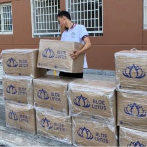 TRUSTED QUALITY 2026 <b>Dried</b> <b>Mango</b> Sweet Chewy Taste, Ideal for Snack and Yogurt Mix, Clean Ingredients, Ready to Ship - Product Image 6