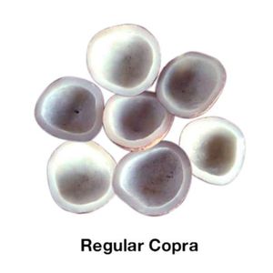 Regular Copra Coconut Kernel Sun Dried Bulk Supply Standard Grade Indonesia 12-Month Shelf Life Larger Size for Coconut Oil - Product Image 6