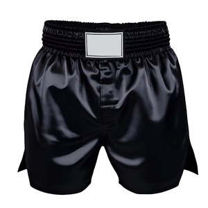 <b>Men's</b> Boxing <b>Trunks</b> New Arrival Top Selling Polyester Breathable Custom Logo Casual Fitness Drawstring Factory Made in Pakistan - Product Image 1