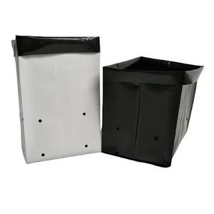 Durable UV Protected Grow <b>Bags</b> Flatbed Style with Protective Covers and Cocopeat Growing Medium for Horticulture - Product Image 1