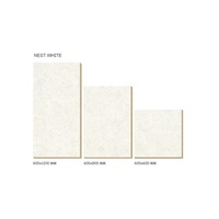 Espaces extérieurs modernes Carreaux de sol Pavés en porcelaine 12mm d'épaisseur 600x1200mm Dalles mates 600x900mm Tailles Inde Decking pour
