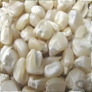 Maíz Blanco Seco No Glutinoso de Primera Calidad de África, Duración de Caducidad de 24 Meses, Marca TZ453G, Listo para Envío - Product Image 3