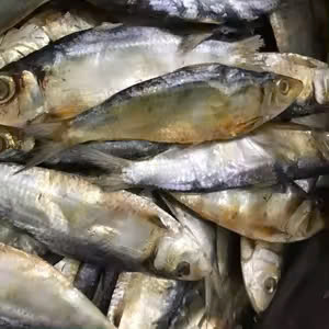 Pescado arenque seco de alta calidad al por mayor, arenque seco salado capturado en el mar para exportación - Product Image 2