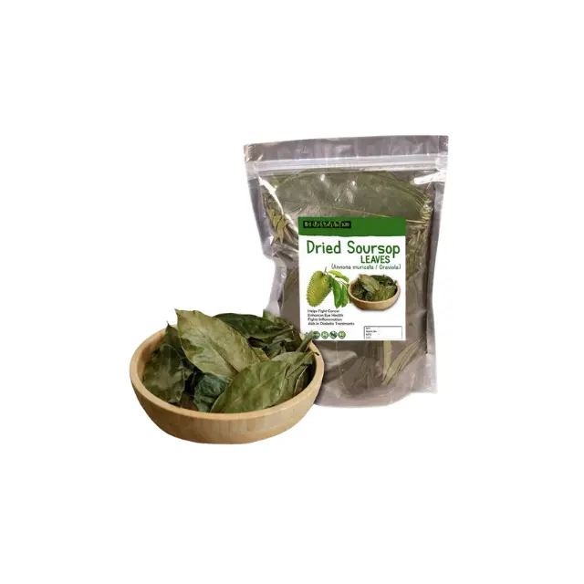 Graviola soursop lá trà được cung cấp để bán với số lượng lớn khô, có nguồn gốc từ các trang trại hữu cơ