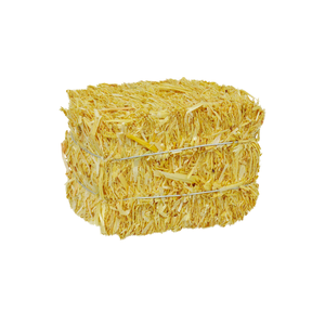 Paille et herbe à prix d'usine, offertes en grandes quantités aux acheteurs et distributeurs agricoles - Product Image 4