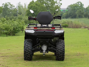 Quad 2 places Chithan DIY pour adultes, utilitaire, en plastique, 400cc, transmission par chaîne, automatique, 4 temps, 1000W, 4 roues motrices, essence/diesel, ODM, garantie 3 ans - Product Image 3