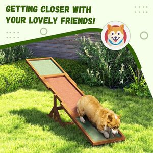 Dog Agility Ramp and Pet Seesaw Obstacle Training Equipment for Canine Exercise - Product Image 1