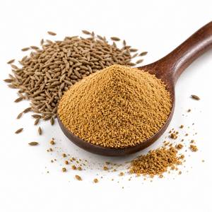 Extracto de Semilla de Comino Certificado, en Polvo, Ingrediente Derivado de Especias Premium para el Bienestar Digestivo - Product Image 5