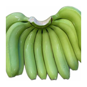 Plátanos Cavendish Verdes Premium Frescos de Cosecha Reciente para Cocina Saludable y Cadena de Suministro a Granel - Product Image 3