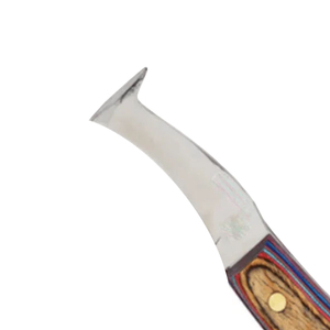 Cuchillo Profesional de Acero Inoxidable de Una Sola Hoja para Pezuñas, Cuchilla Curva, Herramienta Veterinaria para Recortar Pezuñas, Logotipo Personalizado OEM - Product Image 3