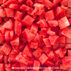 Dés de pastèque surgelés 100% frais, 25x25mm, sans pépins, 250g, emballage sous vide, blocs IQF pour la transformation des aliments et des boissons - Product Image 2