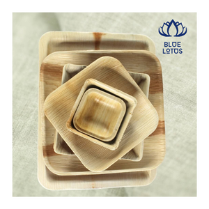 PLATOS Desechables a Prueba de Fugas, MUY VENDIDOS |   Platos Resistentes de Hoja de Palma Natural para Comidas con Salsas y Buffets - Product Image 1