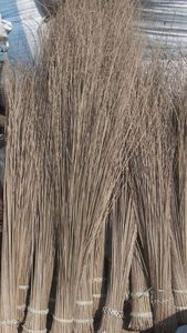 Balai en fibre de coco de qualité supérieure avec tête en poils PP |   Balai de nettoyage écologique imperméable fabriqué au Vietnam - Product Image 6